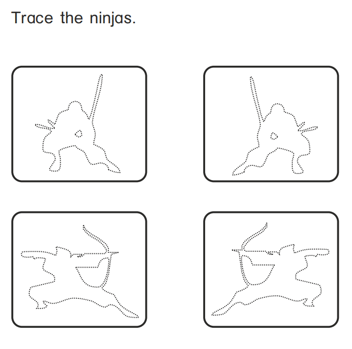 Ninja perception training