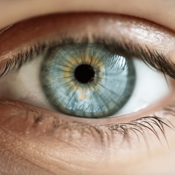 Scientists May Have Found the Real Cause of Dyslexia—And a Way to Treat It