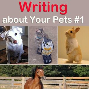 Writing about your pets